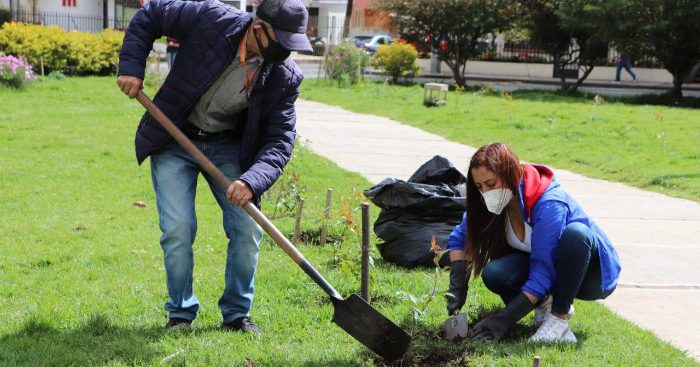 cuidado ambiental